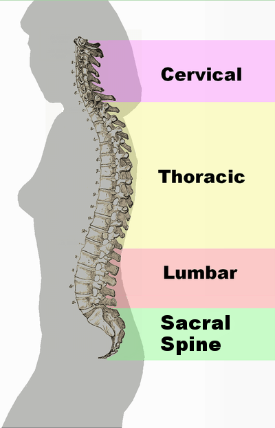 Back pain