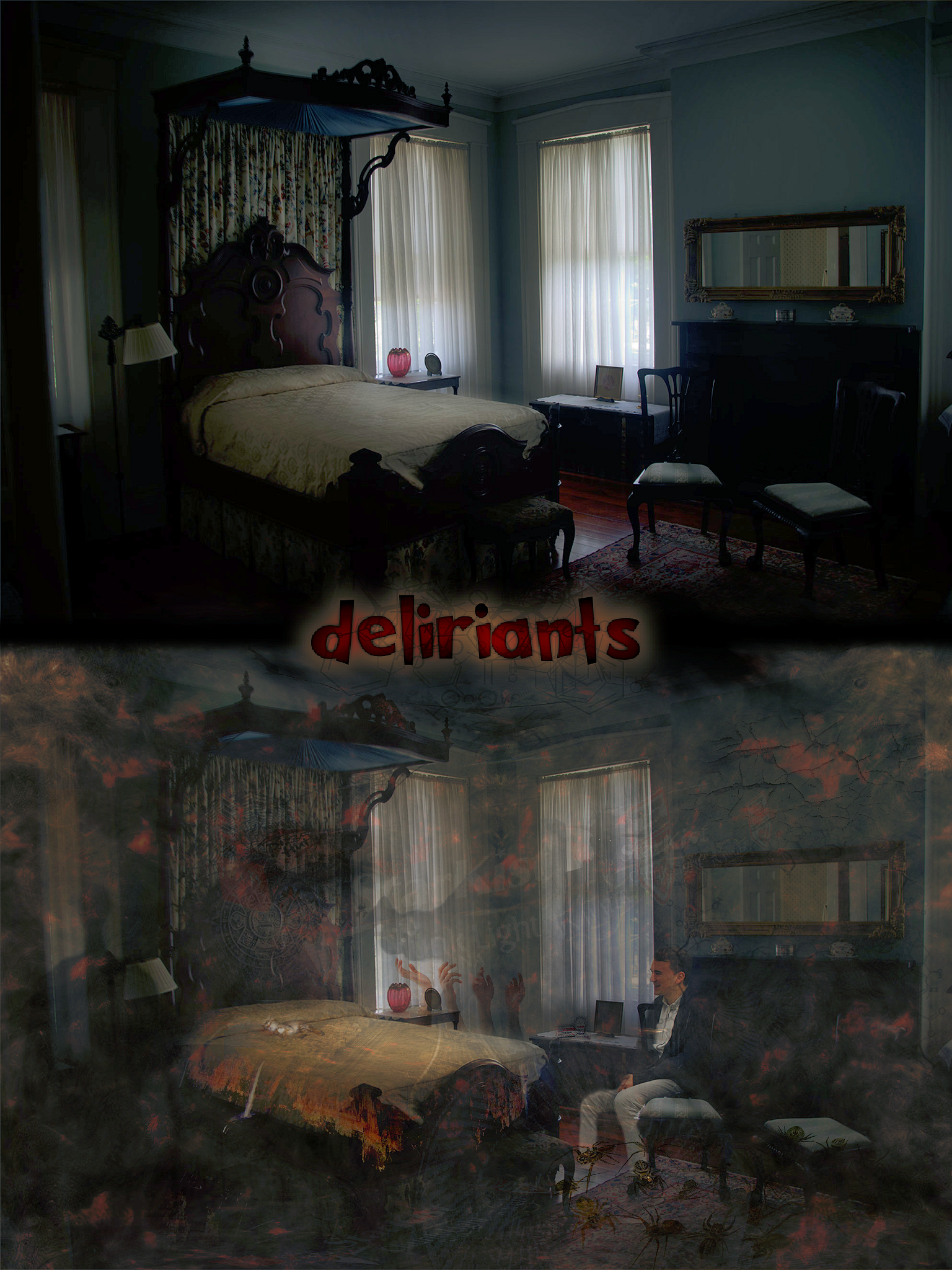 External hallucination