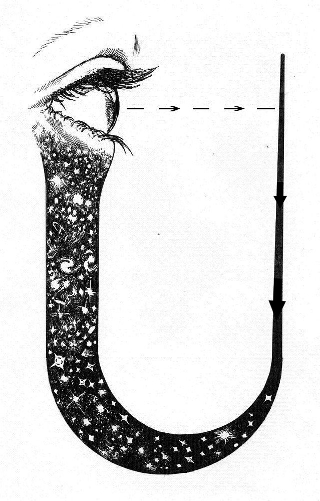 Unity and interconnectedness