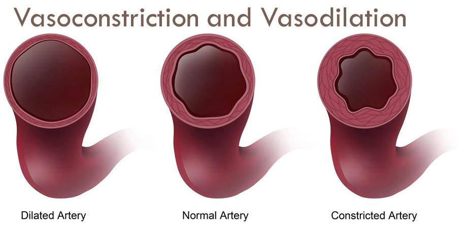 Vasoconstriction