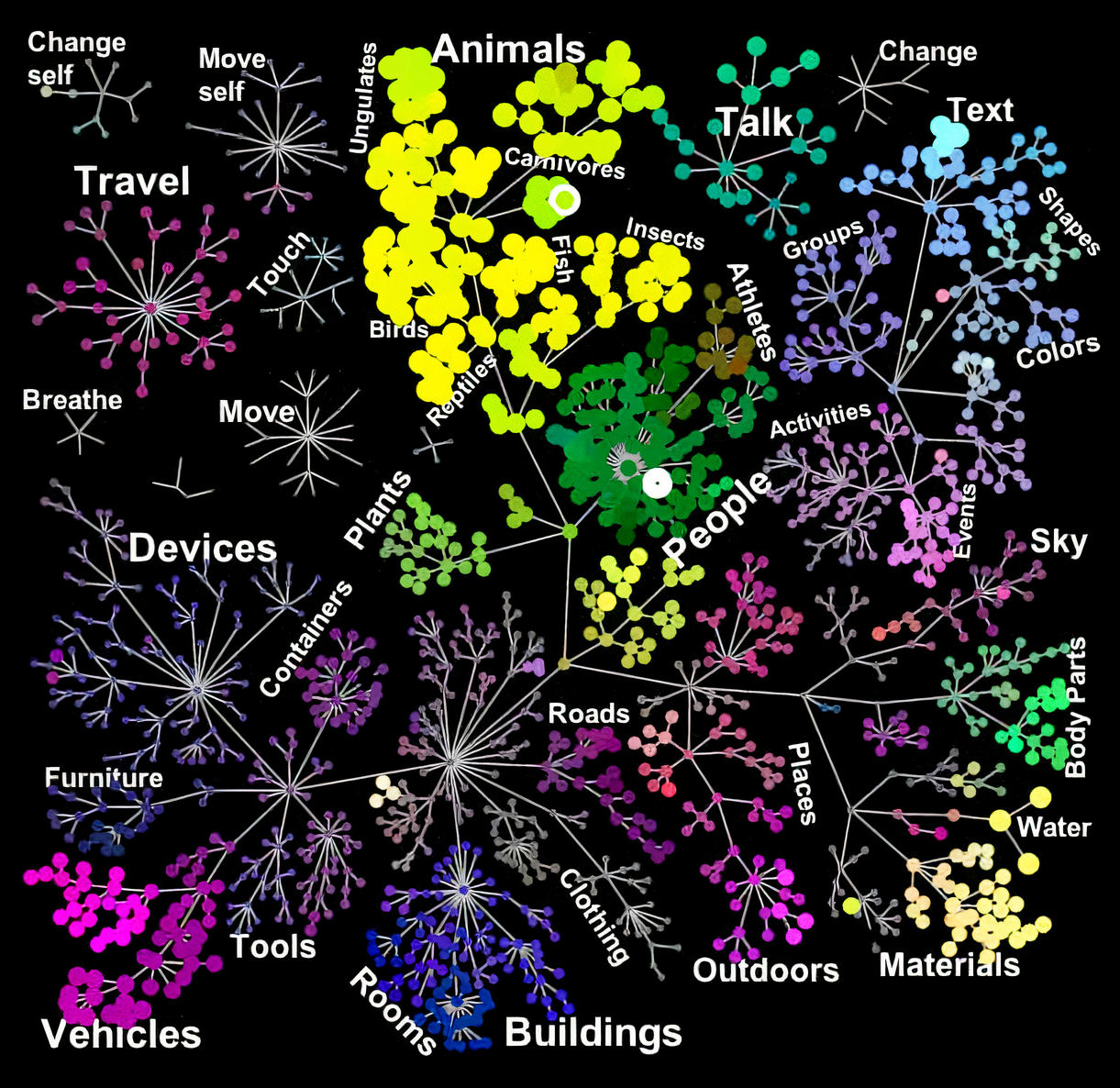 Visual exposure to semantic concept network